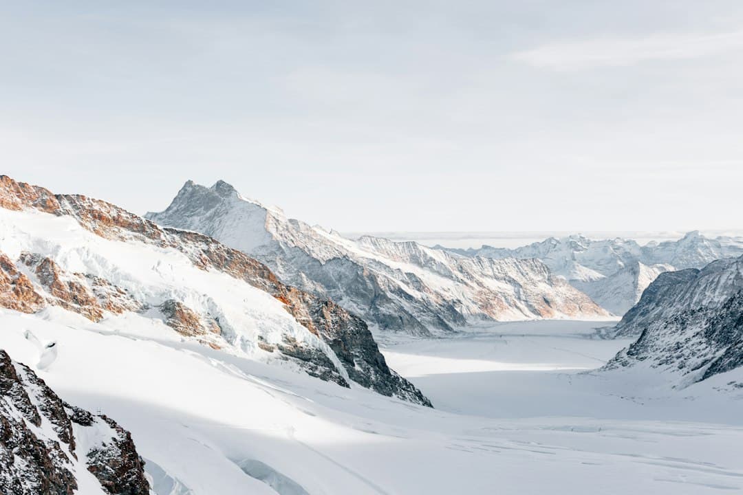 Photo survival tips for heavy snow