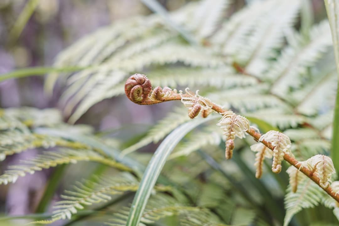 Photo survival tips for the rainforest