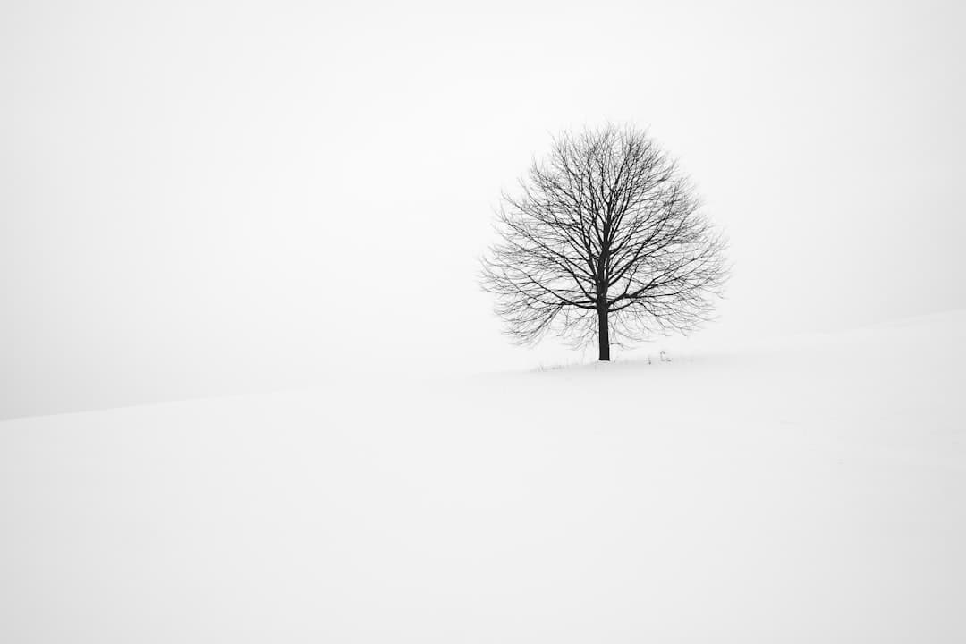 Photo survival tips for winter